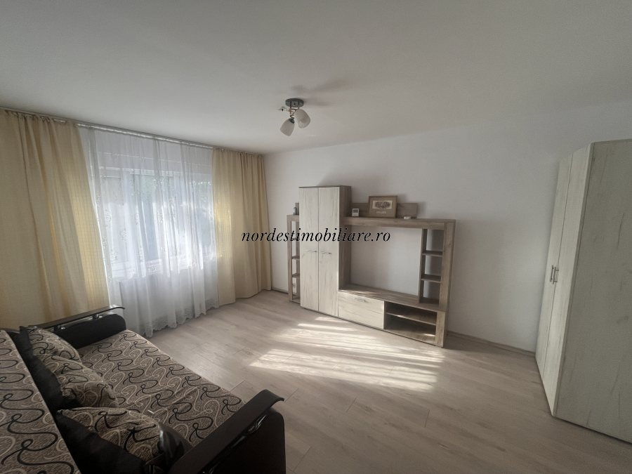 Apartament 1 camera Podu Roș