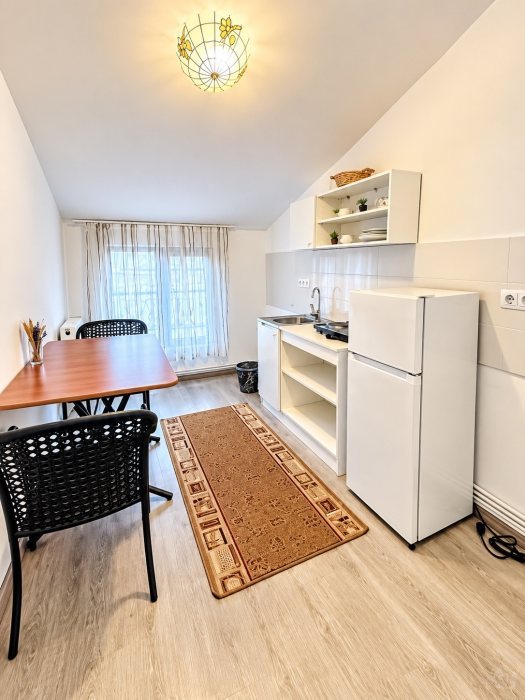 Apartament 2 camere de închiriat – Piata Unirii | UMF